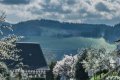 Gruppen im Landhotel Rebstock